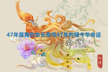 47 😀 年属猪的 💻 命长寿吗_47年的猪今年命运 47 😀 年属猪的 💻 命长寿吗_47年的猪今年命运