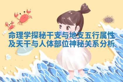 命理学探秘干支与地支五行属性及天干与人体部位 🀄 神秘关 🚴 系分析