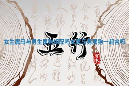 女生属马与男生属狗相配吗 ⛷ 女属马男属狗一起 🤔 合吗 女生属马与男生属狗相配吗 ⛷ 女属马男属狗一起 🤔 合吗