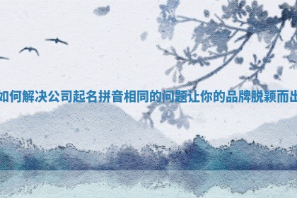 如何解决公司起名拼音相同的问题让你 ⏭ 的品牌脱 🐅 颖而出