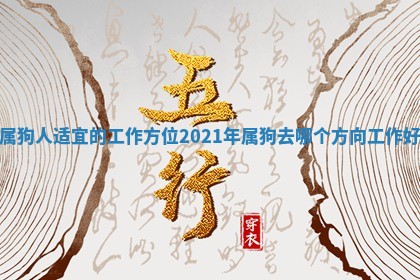 属狗人适宜 💶 的工作方位_2021年属狗去哪个 🐼 方向工作好 属狗人适宜 💶 的工作方位_2021年属狗去哪个 🐼 方向工作好
