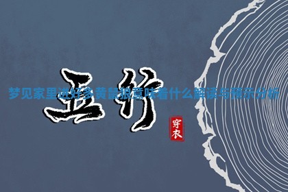 梦 🛰 见家里进好多黄鼠狼意味着什么解读与预示 😣 分析 梦 🛰 见家里进好多黄鼠狼意味着什么解读与预示 😣 分析