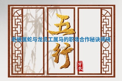 老板属蛇与龙员工属马的职场合作秘诀揭 ㊗ 晓 💩 老板属蛇与龙员工属马的职场合作秘诀揭 ㊗ 晓 💩