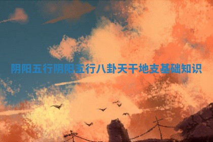 阴阳五行 阴阳五行八卦天干地支基 🚆 础 🍑 知识